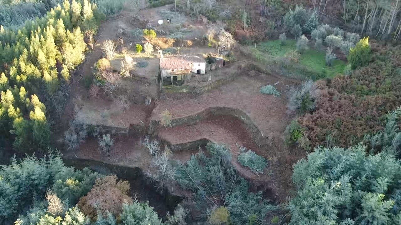 Vista aérea original da propriedade e floresta envolvente